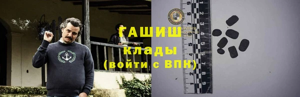 молекула духа Вяземский