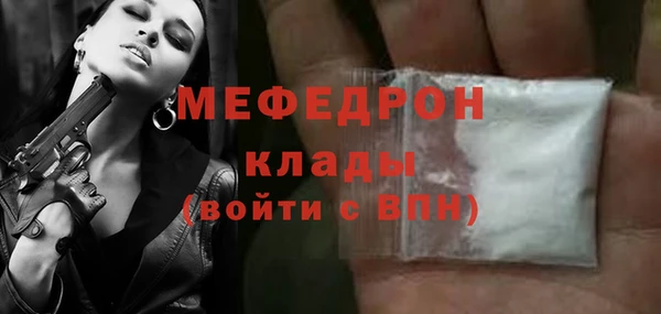 молекула духа Вяземский