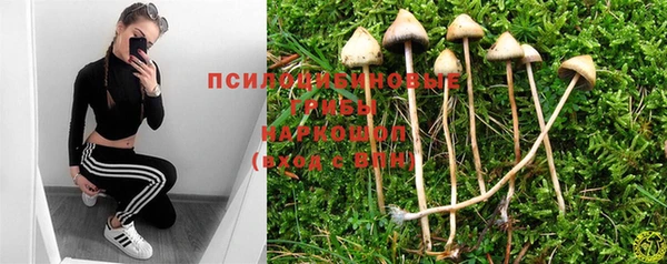 спиды Волосово