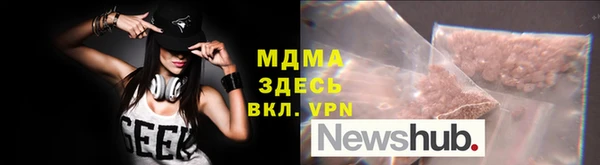 молекула духа Вяземский