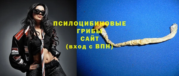 индика Семикаракорск