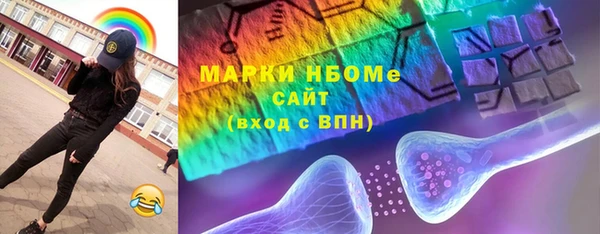 молекула духа Вяземский