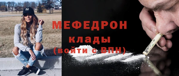 молекула духа Вяземский