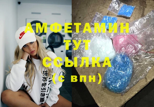 молекула духа Вяземский
